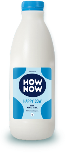 Lite Homogenised 1l - Plastic Bottle (450x656)