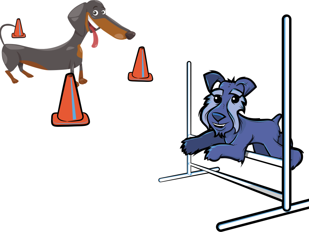 Download Endearing Dog Agility Clipart - Download Endearing Dog Agility Clipart (1024x768)