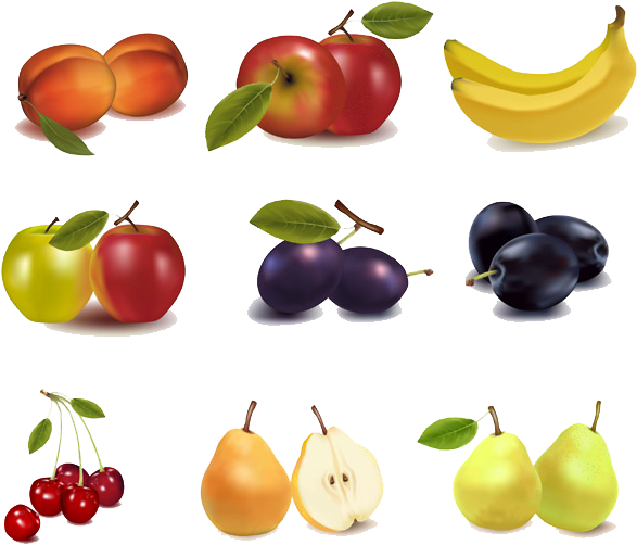 Clip Art, Icons, Fruit, Anabel, Campaign, Medium, Vectors, - Fruit Vector (600x543)