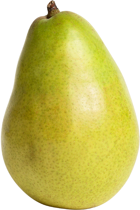 Green Pear Fruit Png Clipart - Real Pear Clipart (490x700)
