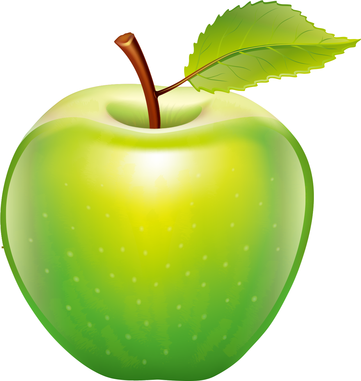 Apple Tape Measure Icon - Apple Tape Measure Icon (1500x1500)