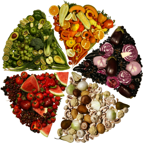 Enjoy A Rainbow Of Fruit And Veggies Everyday It's - Fruit And Vegetables Wheel (480x471)