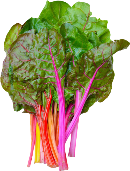 Rainbow Swiss Chard Png Image - Chard Transparent Background (500x627)