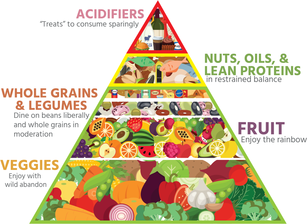 New Pyramid - Health (1024x767)