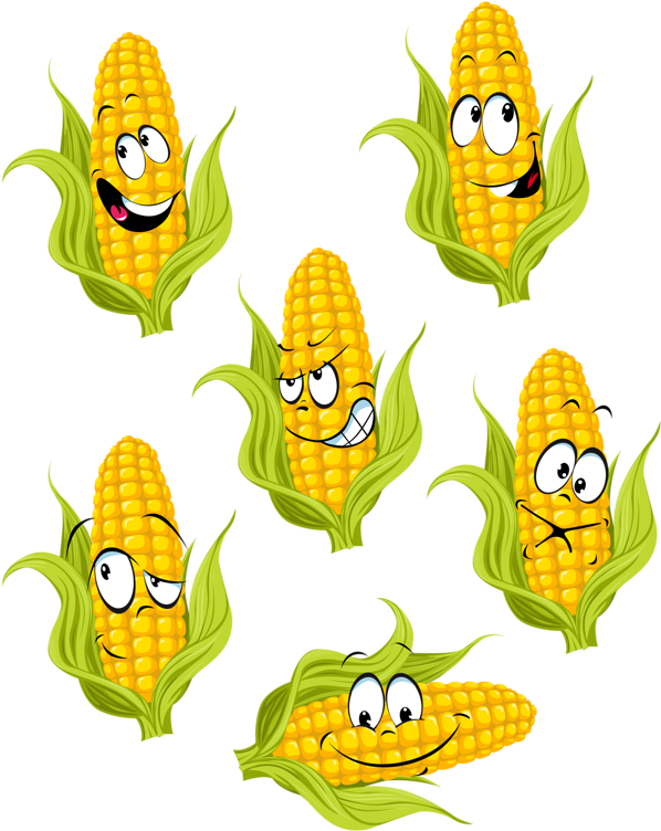 Dibujos - Cultivo De Maiz Animado (623x800)