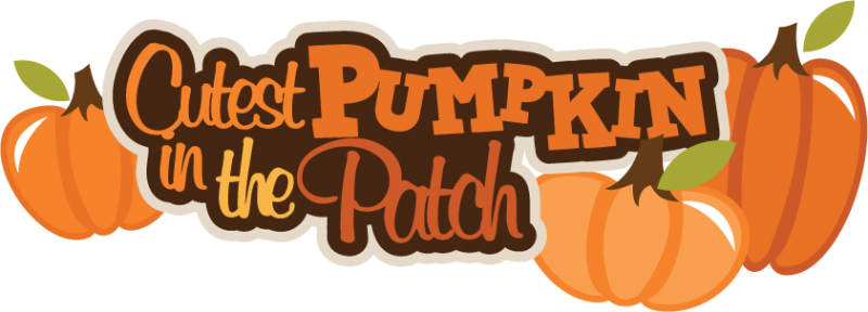 Free Clipart Pumpkin Patch - Cutest Pumpkin In The Patch (800x288)
