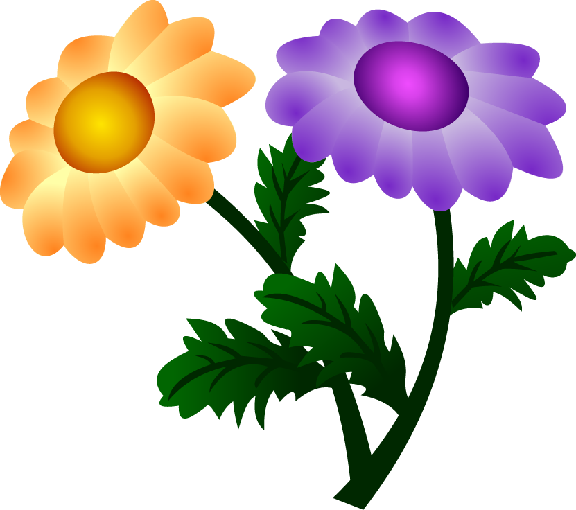 Vector Chrysanthemum - Día Internacional De La Epilepsia 2017 (831x736)