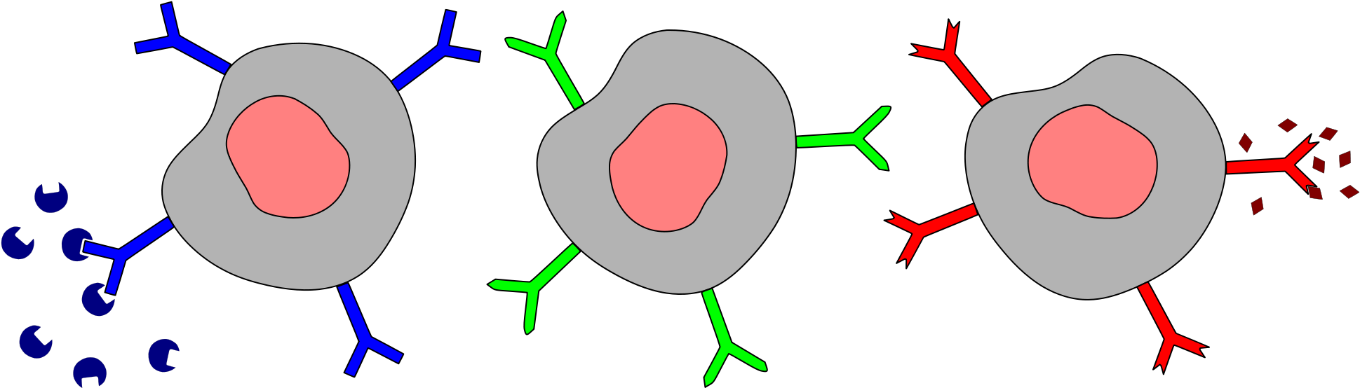 What Structures On Cell Membranes Allow Cells To Communicate - Cell Receptors (2000x614)