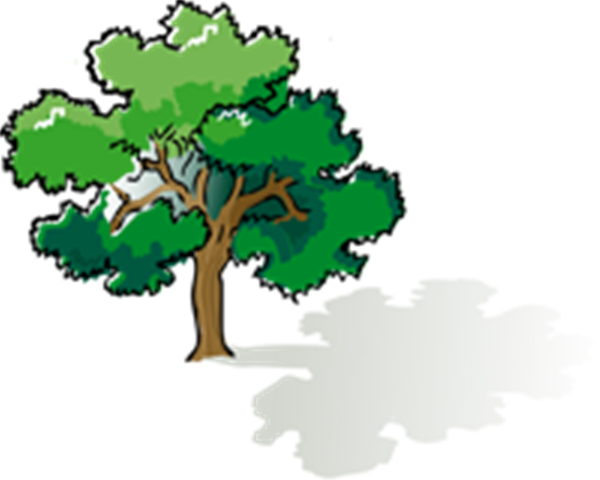 Six Characteristics/traits Of All Living Things - Vanadeviyin Mainthargal (600x480)