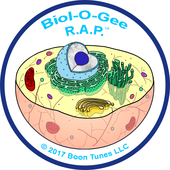 Cell Profile Biology Rap Videos Logo - Organelle (563x563)