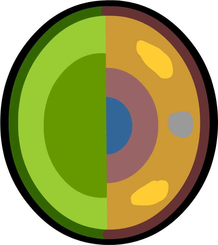 Cell Specialization - Science (880x880)