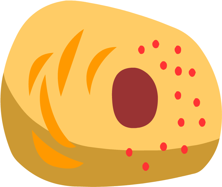 Cellular Respiration - Science (880x880)