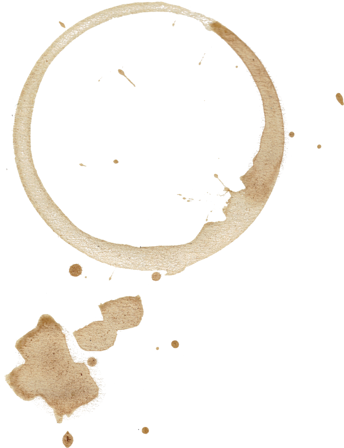 Coffee Cup Stains Free Vector - Coffee Cup Stain Png (1153x1500)