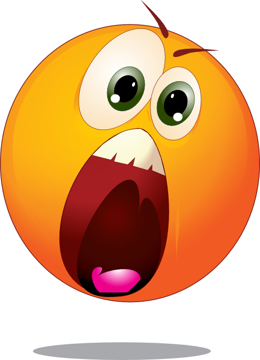 Worried Smiley - Emoticon Fear (512x709)