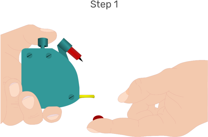 Animation Of The Index Finger Being Lanced And The - Index Finger (666x550)