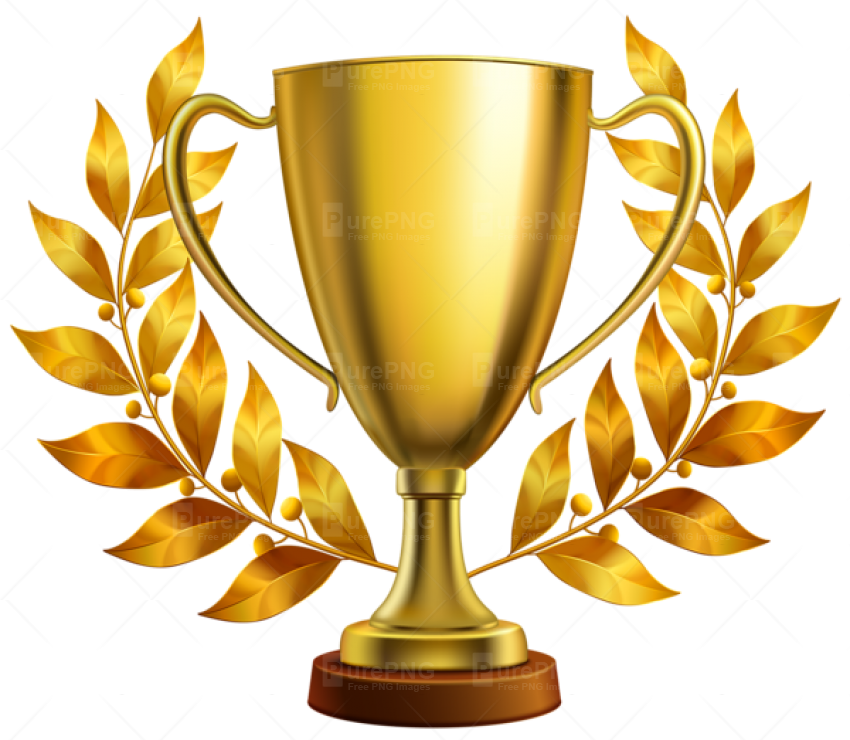 Gold Cup Trophy Png Image - Trophy Png (850x740)