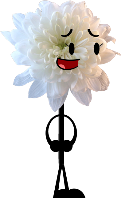 Chrysanthemum - Flower (402x648)