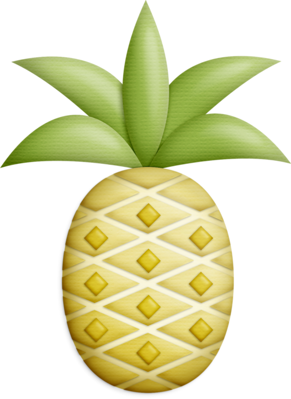 Pineapple Clipartclip - Clip Art (584x800)