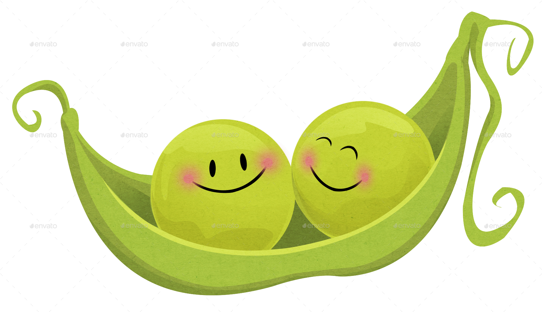 Pea Fruit - Pea - Pea Fruit - Pea (1801x1034)