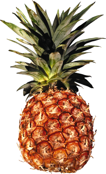 Ananas Png Resmi Pineapple Png - Ананас Png (366x600)