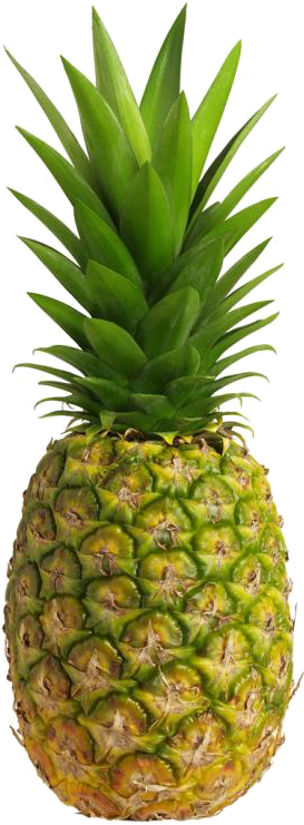 Ingredients - - Off White 40kg Kitchen Scales Digital Commercial (380x800)