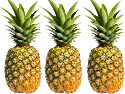 Aseptic / Frozen Pineapple Juice Conentrate - Fruit Of The Spirit Patience (458x331)