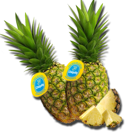 Pineapple Png Chiquita-pineapple - Pineapple (415x431)