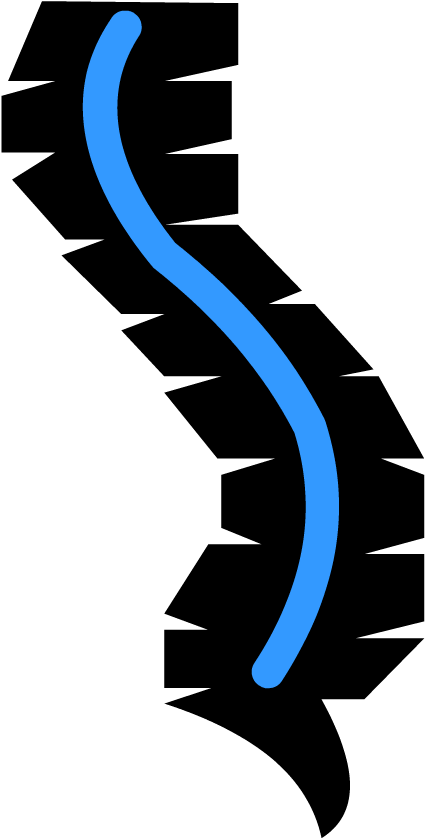 Spinal Cord - Spinal Cord Icon Png (880x880)