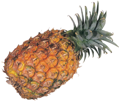 Ананас, Под Наклоном, Pineapple, Png - Pineapple (500x359)