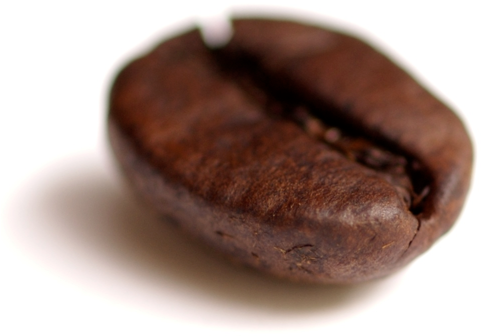 Coffee Beans Png 2, Buy Clip Art - Single Coffee Bean Png (1005x1005)