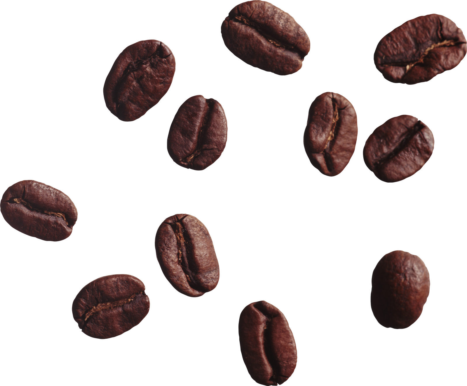 Star Clip Art Stock Images Royaltyfree Images Amp Vectors - Coffee Beans Png Transparent (1600x1321)