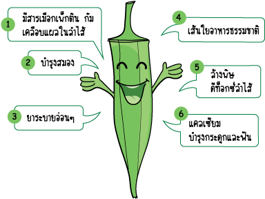 และกัม (gum) - กระเจี๊ยบ เขียว ทํา อะไร ได้ บ้าง (436x335)