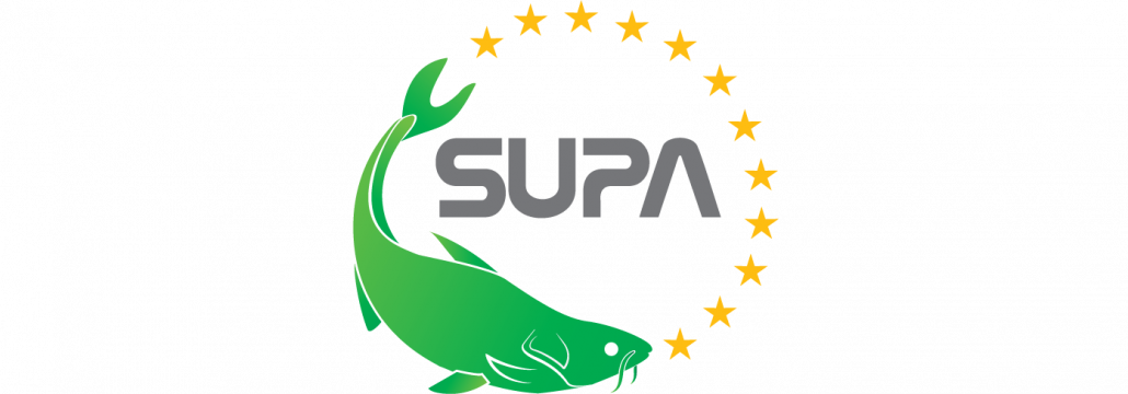 Eu Supports Funding Of Sustainable Catfish Supply Chain - Cá (1030x360)