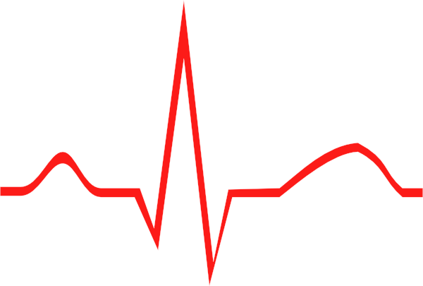 Lifeline - Clipart - Ekg Line Red (600x405)