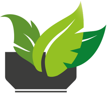 Park Hill Park - Park Hill Park (400x400)