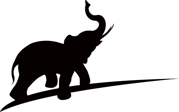 Brand Book (600x375)