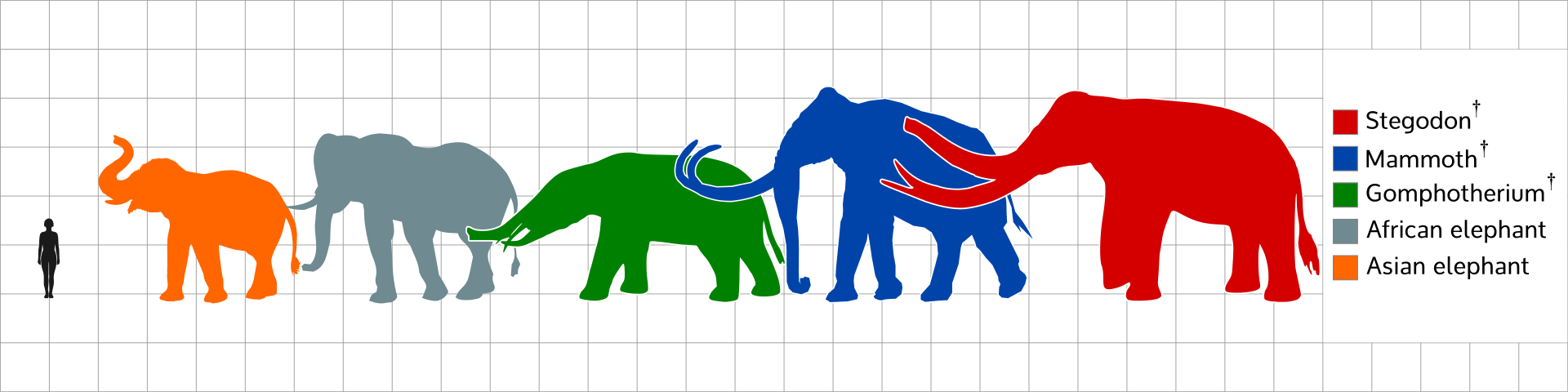 The Trunk, The Shoulder, Elephants, Quote - Stegodon Size (1920x480)