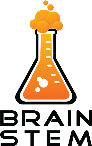 Technology, Engineering, And Math While Having Fun - International Brain Bee (601x530)