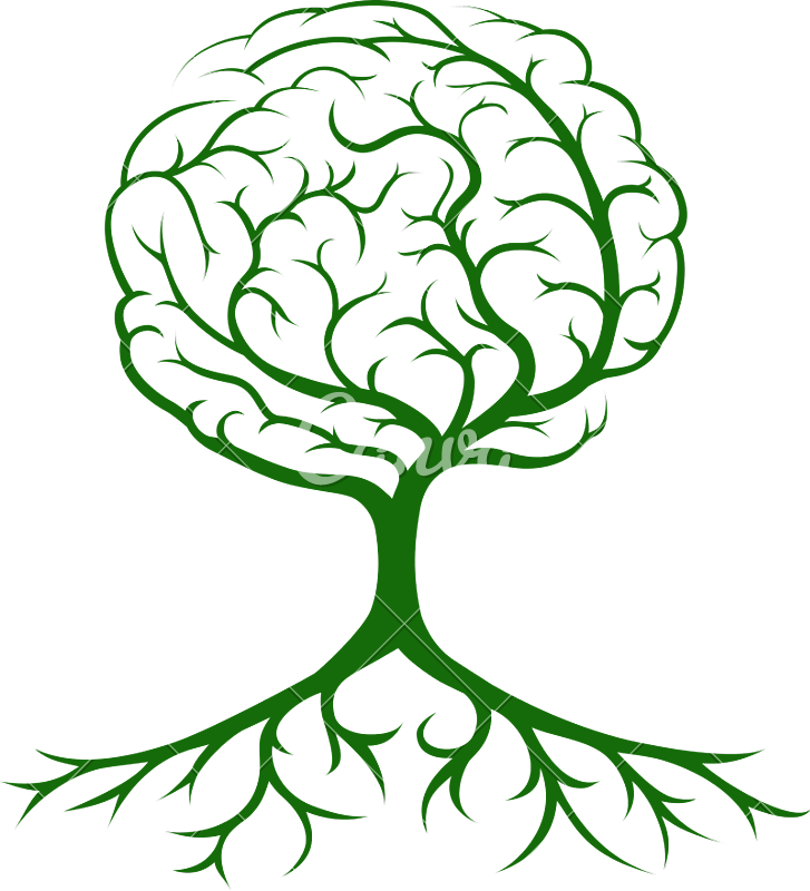 Tree Brain Concept Illustration - Plant With A Brain (727x800)