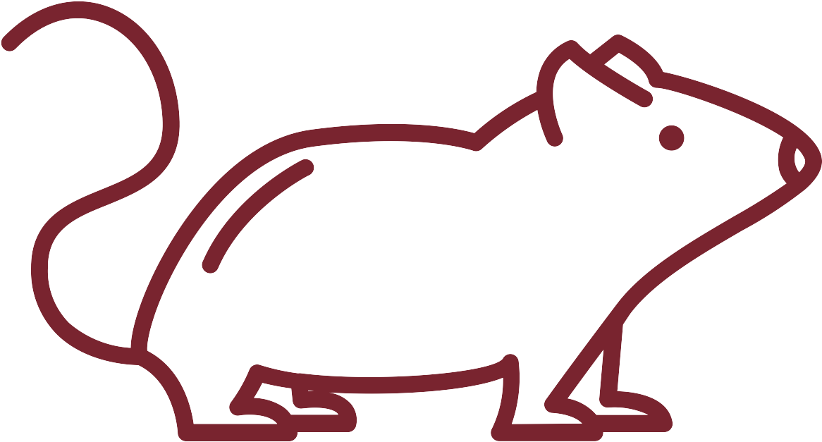 Rodent Tips - Cockroach (1200x1200)