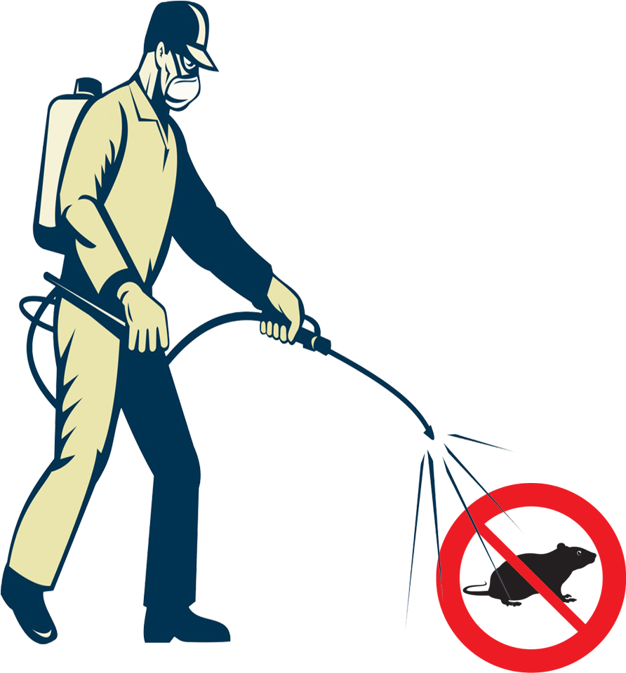 Especially Young Once, Can Squeeze Beneath A Door With - Fumigation (1024x959)