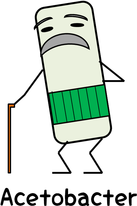 The Big Issue Is To Product Cellulose - The Big Issue Is To Product Cellulose (539x691)