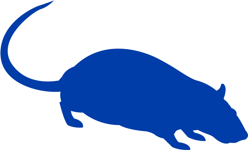 Mouse And Rat Prevention And Pest Control Tips From - Mouse And Rat Prevention And Pest Control Tips From (874x493)