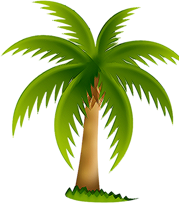 Florida Junk Removal And Hauling Services - Palm Tree Clip Art (593x675)