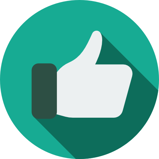 He And His Team Did A Fantastic Job Getting Rid Of - Thumbs Up Flat Icon (512x512)