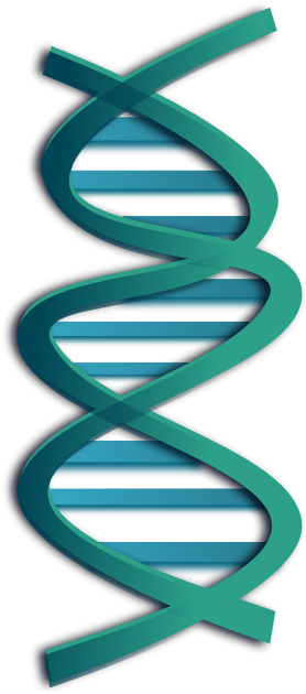 Dna Clipart - Dna Clip Art (800x800)