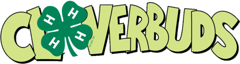 Cloverbuds Is An Exciting Program Offering 4 H Membership - 4 H Cloverbuds (842x241)