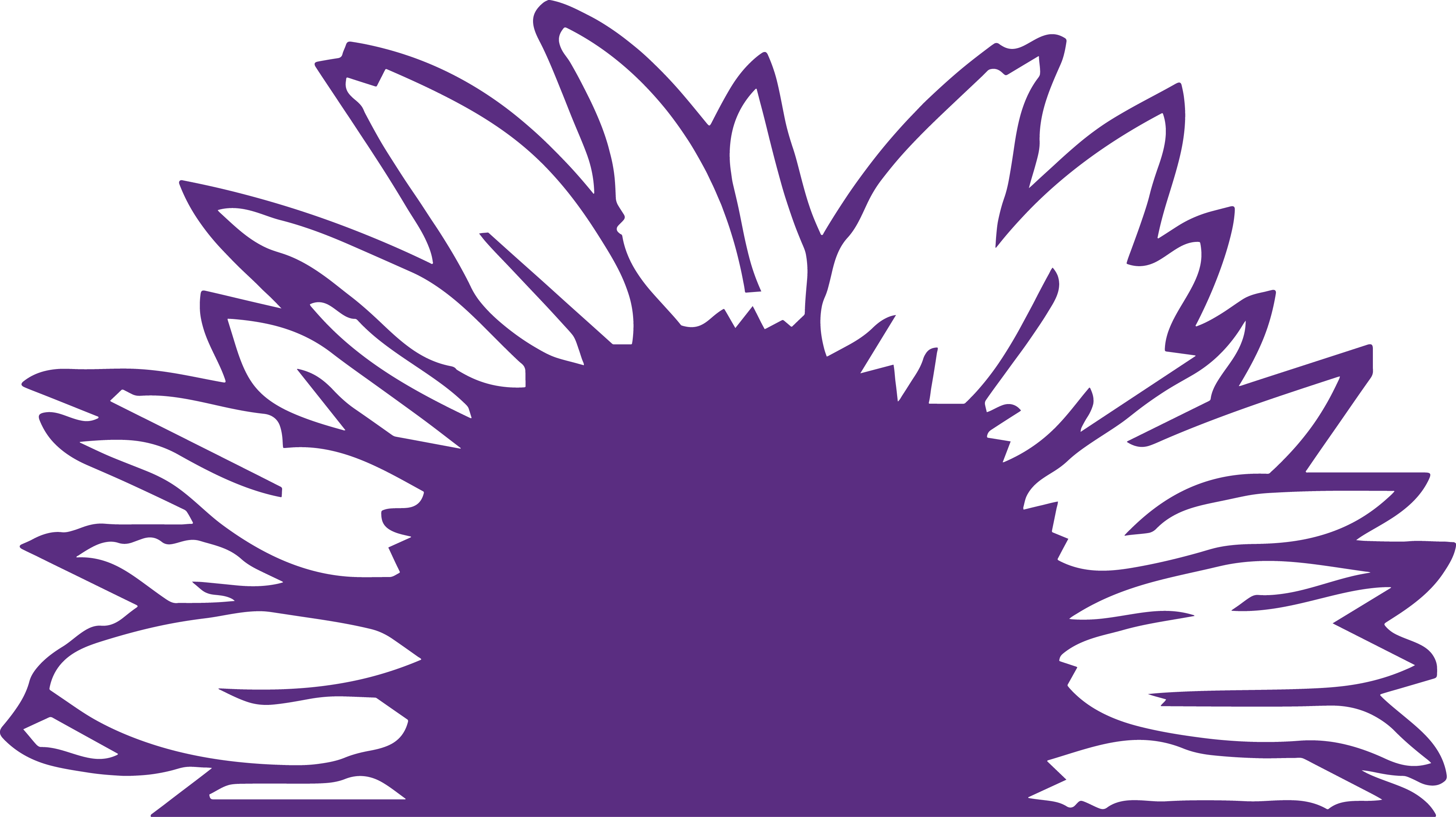 You Can Be A Pro Or A Novice, This Program Is For Everyone - Purple Sunflowers Clip Art (3783x2121)