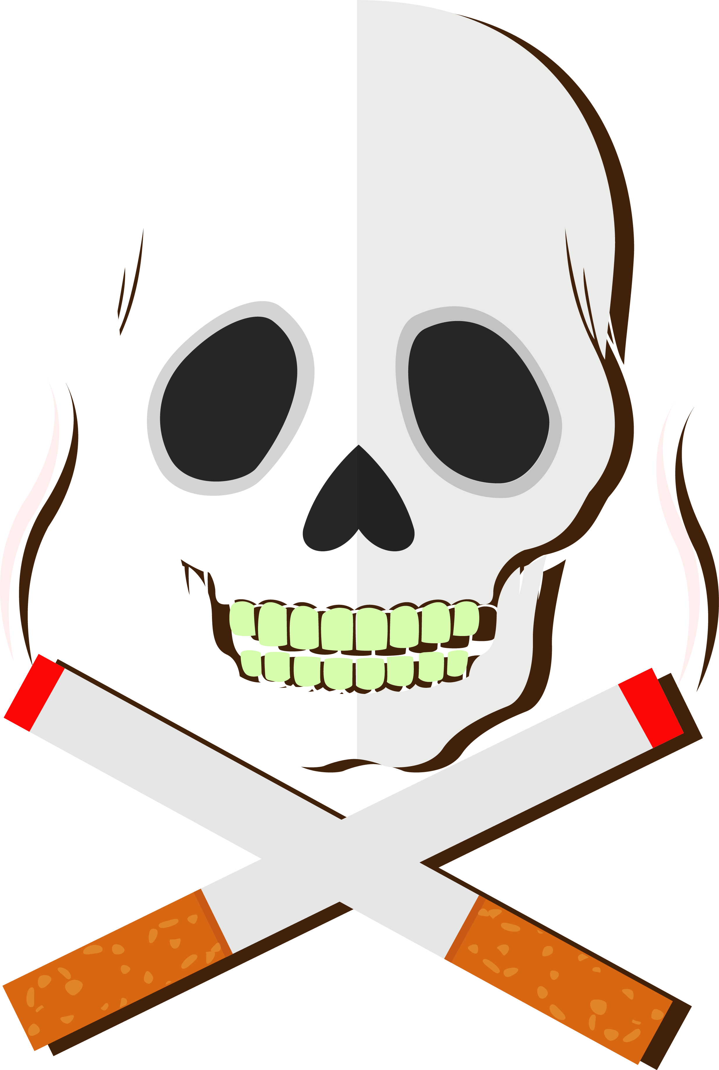 Tobacco Smoking Download - Health (2469x3676)