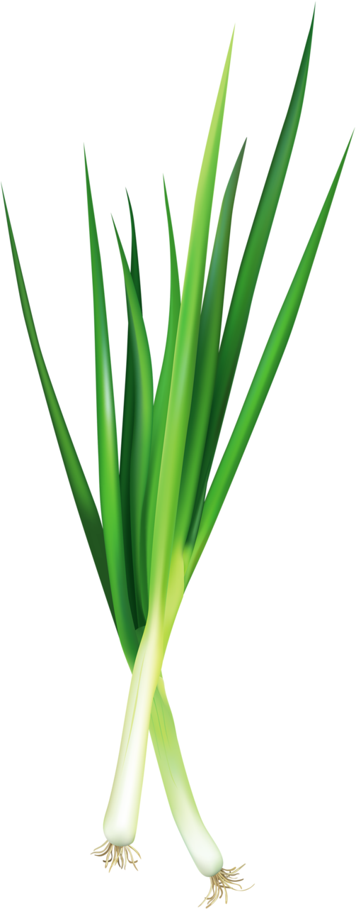 Яндекс - Фотки - Grass (509x1280)